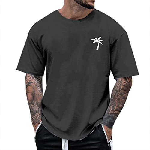 2024 Oversize Tshirt Herren Rundhals Kurzarm Tshirts Männer Palme Angels Tshirt Lässig T-Shirt Sport Fitness Tops Sommer Sportshirt Bodybuilding Laufshirt Lässig, Kurzärmelig, Sommerkleidung 2024 von Generic