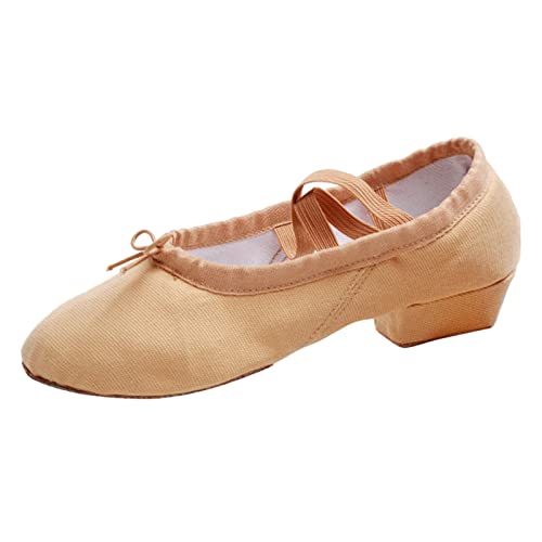 Jazzschuhe für Mädchen Damen Canvas Tanzschuhe Trainingsschuhe mit weichen Sohlen Ballettschuhe Sandalen Tanz Freizeitschuhe Anzugschuhe für Kleinkinde𝐫 Hohe Schuhe Damen (A, 38) von Generic