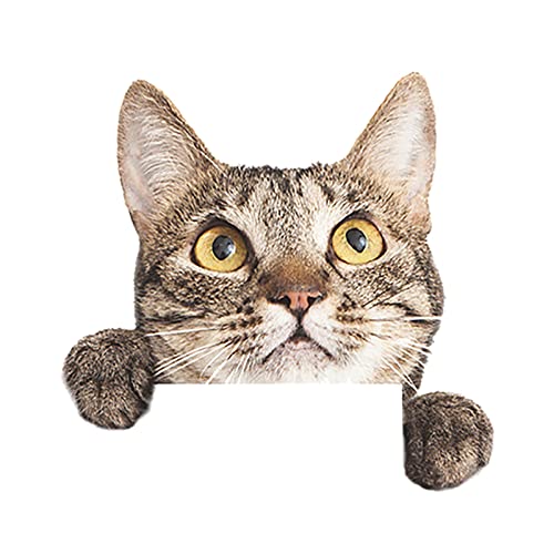 Cartoon gemalte niedliche Katze Vogel Schalter Aufkleber Dekoration Free Wandaufkleber Badezimmer Vinyl Wandtattoo Cartoon gemalte niedliche Katze Vogel Schalter Aufkleber Dekoration Free Wandaufkleber Badezimmer Vinyl Wandtattoo von Generisch
