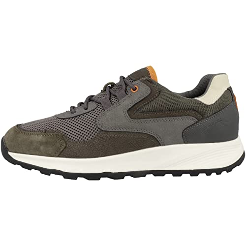 Geox Herren Low-Top Sneaker TERRESTRE, Männer Halbschuhe,lose Einlage,Strassenschuhe,Sportschuhe,Freizeitschuhe,Grau (Dove Grey/Grey),43 EU von Geox