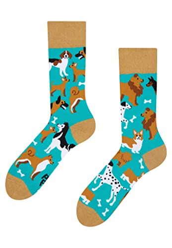 Dedoles Socken Unisex Damen Herren & Kinder Baumwolle viele lustige Designs 1 Paar Geschenk links rechts verschieden, Farbe Türkis, Motiv Hundefreunde, Gr. 39-42 von Dedoles