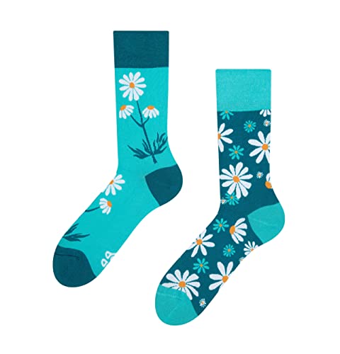 Dedoles Socken Unisex Damen Herren & Kinder Baumwolle viele lustige Designs 1 Paar Geschenk links rechts verschieden, Farbe Blau, Motiv Kamillen, Gr. 35-38 von Dedoles