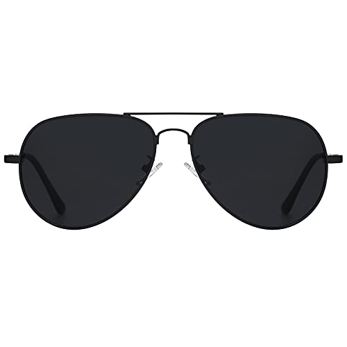 H HELMUT JUST Sonnenbrille Herren Pilotenbrille Damen Unisex Polarisiert mit UV400-Schutz Retro Groß Klassisch Ultraleicht (C1) von H HELMUT JUST