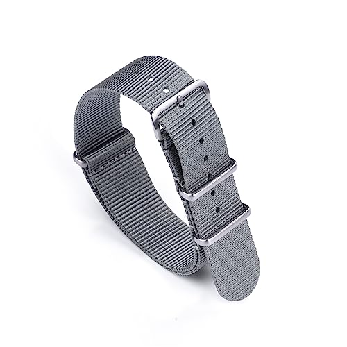 HASMI Uhr Nylonband 20mm 22mm Kompatibel for Militär Casual Armband Army Sport Uhrenarmband Ersetzen (Color : Gray, Size : 20mm) von HASMI