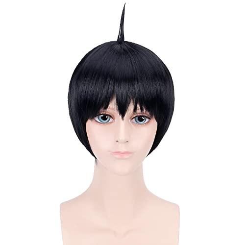 HBYLEE-Anime Role Play Wig For Himouto Umaru-Chan Taihei Doma Black Wig Costume Halloween Cosplay[Farbe:Black] von HBYLEE