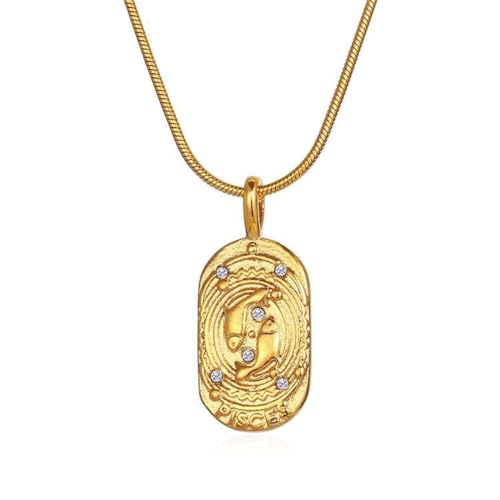 HIJONES Frauen Einfache Elliptische Anhänger-Halskette Mit Vintage-Sternzeichen aus Rostfreier Stahl Glückshoroskop Sternzeichen Collarbone Halskette Gold Fische von HIJONES