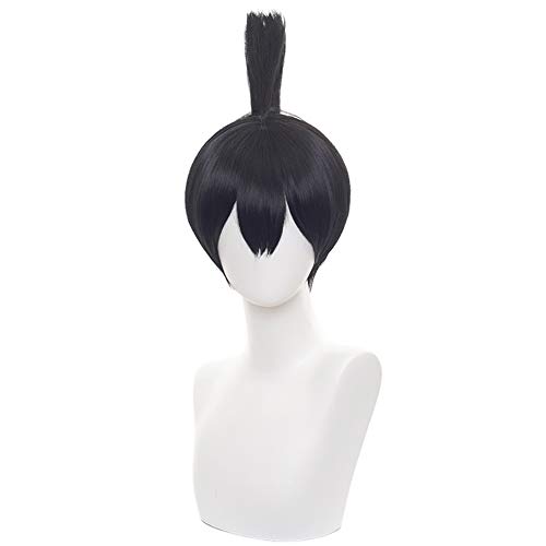 HIROAKIYA Aki Hayakawa Wig, Chainsaw Man Aki Hayakawa Cosplay Wig with Wig Cap, Length approx.30cm von HIROAKIYA