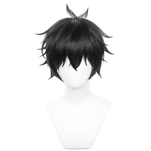 HIROAKIYA Dan Heng Cosplay Wig, Honkai Star Rail Cosplay Dan Heng Wig with Wig Cap, Length approx.30cm von HIROAKIYA