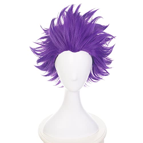 HIROAKIYA Hitoshi Shinsou Wig, MHA My Hero Academia Hitoshi Shinsou Cosplay Wig with Wig Cap von HIROAKIYA