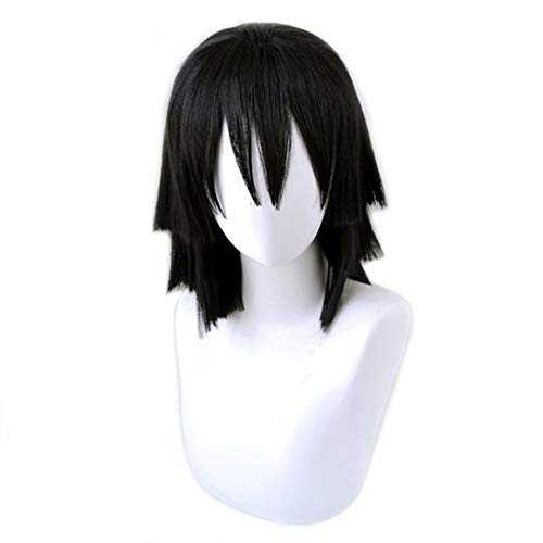 HIROAKIYA Obanai Iguro Wig, Demon Slayer Kimetsu no Yaiba Obanai Iguro Cosplay Wig with Wig Cap von HIROAKIYA