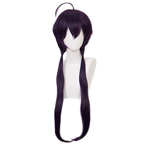 HIROAKIYA Kyouka Izumi Wig, Bungou Stray Dogs Kyouka Izumi Cosplay Wig with Wig Cap, Length approx.70cm von HIROAKIYA