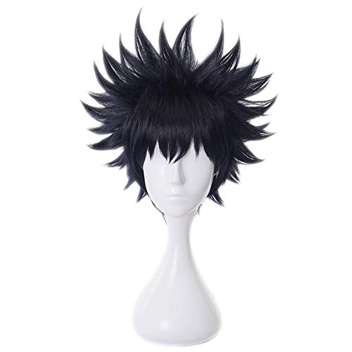 HIROAKIYA Megumi Fushiguro Wig, Jujutsu Kaisen Megumi Fushiguro Cosplay Wig with Wig Cap, Length approx.30cm von HIROAKIYA