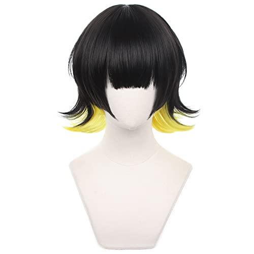 HIROAKIYA Meguru Bachira Cosplay Wig, Blue Lock Cosplay Meguru Bachira Wig with Wig Cap, Length approx.33cm von HIROAKIYA