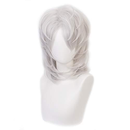 HIROAKIYA Rui Wig, Demon Slayer Kimetsu no Yaiba Rui Cosplay Wig with Wig Cap von HIROAKIYA