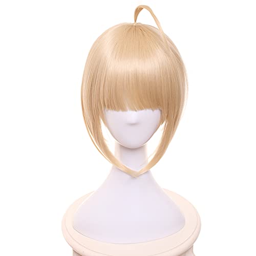 HIROAKIYA Saber Artoria Pendragon Wig, Fate Saber Artoria Pendragon Cosplay Wig Clip Hair Bun with Wig Cap von HIROAKIYA