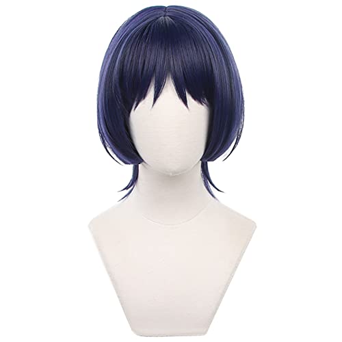 HIROAKIYA Scaramouche Wig, Genshin Impact Scaramouche Cosplay Wig with Wig Cap von HIROAKIYA