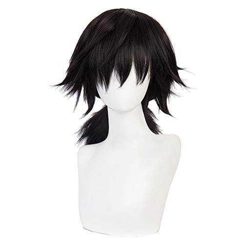 HIROAKIYA Giyu Tomioka Wig, Demon Slayer Kimetsu no Yaiba Giyu Tomioka Cosplay Wig with Wig Cap von HIROAKIYA