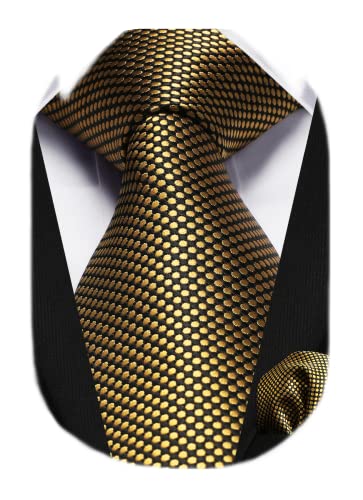 HISDERN Herren Krawatten Gold Klassische Taschentuch Formelle Elegant Gepunktete Krawatte & Einstecktuch Set Hochzeit Festival von HISDERN