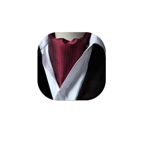 HISDERN Krawattenschal Burgund Herren Hochzeit Ascot Krawatte Gepunktete Elegant Business Halstuch von HISDERN