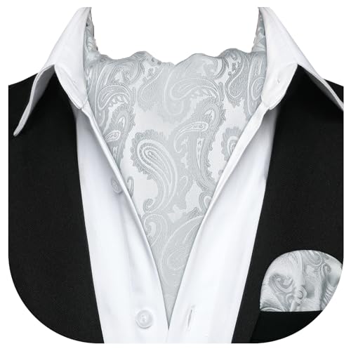 HISDERN Krawattenschal Herren Grau Seide Hochzeit Elegant Ascot Krawatte und Einstecktuch Set Paisley Halstuch mit Taschentuch für Männer von HISDERN