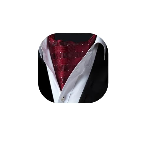 HISDERN Krawattenschal Weinrot Herren Hochzeit Ascot Krawatte Gepunktete Elegant Business Halstuch von HISDERN