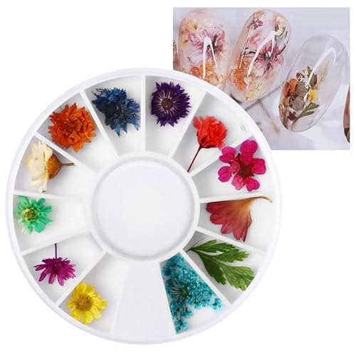 Huamengyuan Nagelaufkleber Diy nail kit Nagelsticker Nail Art Sticker 3D Nailart Sticker Getrocknete Blumen Nagelkunst Aufkleber für Harz Scrapbooking DIY-Kerze Schmuckanhänger Basteln Huamengyuan Nagelaufkleber Diy nail kit Nagelsticker Nail Art Sticker 3D Nailart Sticker Getrocknete Blumen Nagelkunst Aufkleber für Harz Scrapbooking DIY-Kerze Schmuckanhänger Basteln von Huamengyuan