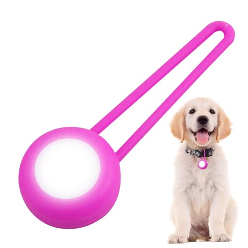 Humdcdy Hundehalsband-, Licht für Hundehalsband,LED-Hundehalsband-Sicherheits-Nachtlicht-Anhänger | Gut sichtbarer Hundelicht-LED-Anhänger für nächtliche Spaziergänge mit dem Hund von Humdcdy