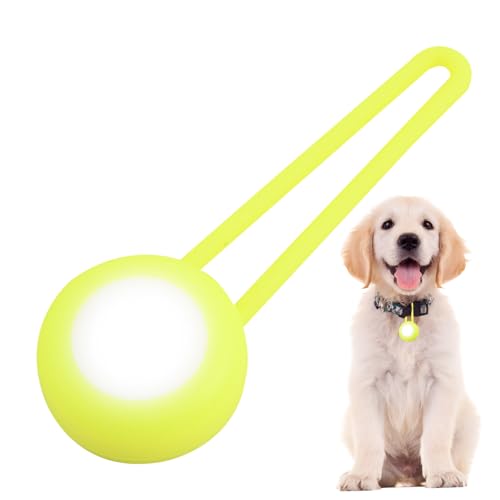 Humdcdy Hundehalsband mit LED-Licht, leuchtende Hundemarke | LED-Hundehalsband-Sicherheits-Nachtlicht-Anhänger | Gut sichtbarer Hundelicht-LED-Anhänger für nächtliche Spaziergänge mit dem Hund von Humdcdy