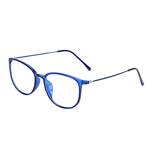 Brille Metallrahmen Brillengestelle Ohne Sehstärke Runde Pantobrille Streberbrille Fensterglas Nerdbrille Damen Herren Ebenenspiegel Brillefassung mit Nasenpad Winddicht Leicht Vintage Transparent von IBLUELOVER