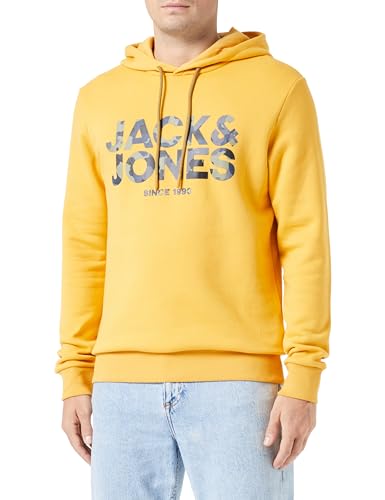 JACK&JONES JJJAMES Sweat Hood von JACK & JONES