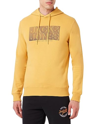 JACK&JONES JJPETER Sweat Hood von JACK & JONES