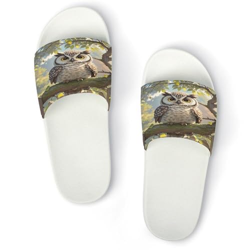 JTREWBV Sommerhausschuhe für Damen und Herren, Eulen-Druck, PVC, Hausschuhe, Duschschuhe, Bad-Sandalen, rutschfest, leicht zu reinigen, Weißer Stil, 11.5 UK Men/ 7 UK Women Wide JTREWBV Sommerhausschuhe für Damen und Herren, Eulen-Druck, PVC, Hausschuhe, Duschschuhe, Bad-Sandalen, rutschfest, leicht zu reinigen, Weißer Stil, 11.5 UK Men/ 7 UK Women Wide von JTREWBV