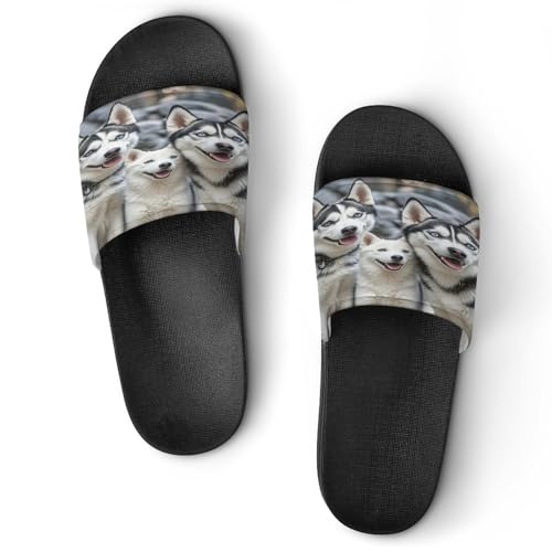 JTREWBV Sommerhausschuhe für Damen und Herren, niedlicher Wolfshund, bedruckt, PVC, Hausschuhe, Duschschuhe, Badezimmer, Sandalen, rutschfest, leicht zu reinigen, Schwarzer Stil, 11.5 UK Men/ 5 UK JTREWBV Sommerhausschuhe für Damen und Herren, niedlicher Wolfshund, bedruckt, PVC, Hausschuhe, Duschschuhe, Badezimmer, Sandalen, rutschfest, leicht zu reinigen, Schwarzer Stil, 11.5 UK Men/ 5 UK von JTREWBV