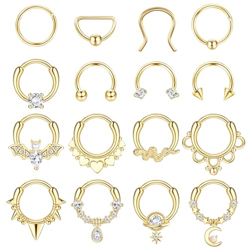 JeryWe 16Pcs 16G Septum Ringe für Frauen Chirurgenstahl Scharnier nahtlose Nase Hoop Ring Septum Schmuck Knorpel Tragus Hoop Helix Daith Ohrringe von JeryWe