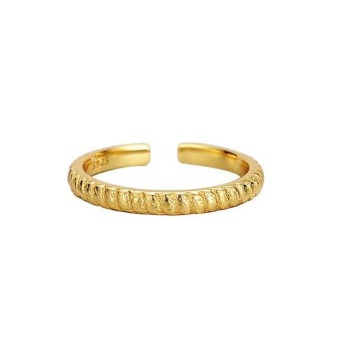 Jesuky Damen Ring, Silber Ringe 925 Einfach Verdreht Elegant Dünner Ring Promise Ring 2 Gr Verstellbar Ring Gold Für Damen Geburtstag Valentinstag Geschenck von Jesuky