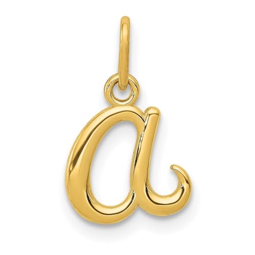 14 Karat Gelbgold, polierte strukturierte Rückseite, Buchstaben-Name, personalisierbar, Monogramm, Initialen-Charm-Anhänger, Halskette, Maße: 14,32 x 9,78 mm breit, Schmuckgeschenke für Frauen, Metall von JewelryWeb