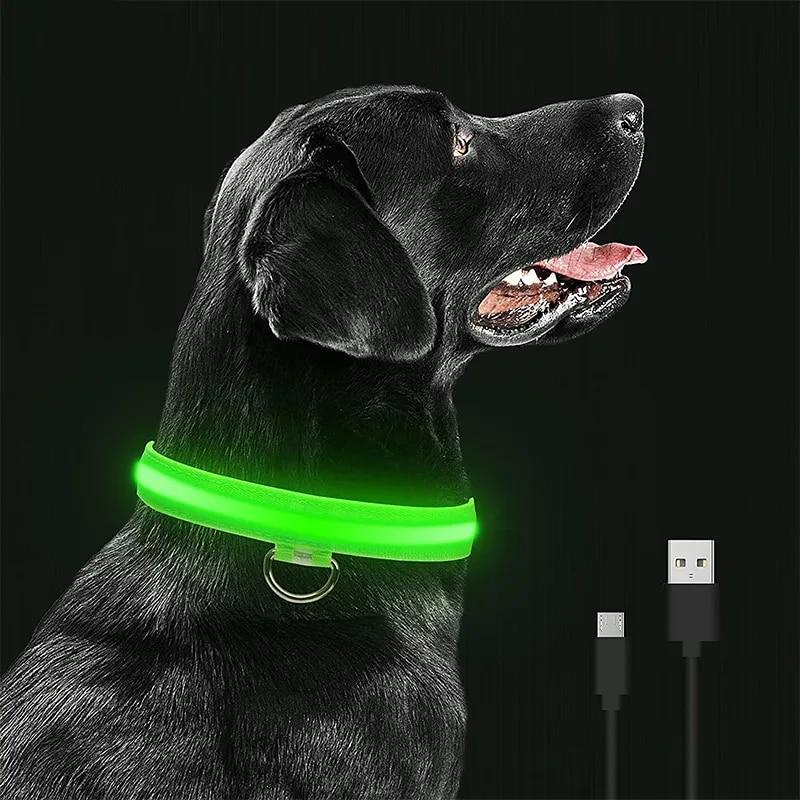 LED leuchtende Hundehalsbänder, wiederaufladbar, wasserdicht, leuchtendes Halsband, verstellbares Hunde-Nachtlicht-Halsband, Haustier-Hunde-Sicherheitshalskette L LED leuchtende Hundehalsbänder, wiederaufladbar, wasserdicht, leuchtendes Halsband, verstellbares Hunde-Nachtlicht-Halsband, Haustier-Hunde-Sicherheitshalskette L von Joom DACH