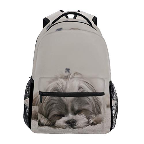 Modischer Laptop-Rucksack für Männer und Frauen, ein kleiner Hund, Schlafdecke, Reise-Schulter-Rucksack, Wandertasche, Rucksack, Büchertasche für Studenten, Mehrfarbig 1, Einheitsgröße, Casual von Josidd