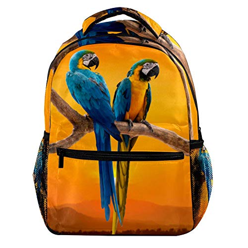 Modischer Laptop-Rucksack für Männer und Frauen, zwei Papageien mit Sonnenuntergang, Reise-Schulter-Rucksack, Wandertasche, Rucksack, Büchertasche für Studenten, Mehrfarbig 2, Einheitsgröße, Casual von Josidd