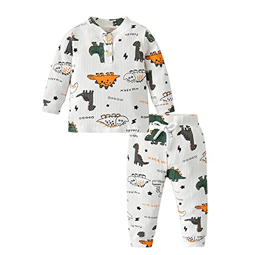 Joureker Baby Jungen Kleidung Kleinkind Dinosaurier Print Langarm Tops Hosen Outfits Sets, Weiß, 3-6 Monate von Joureker