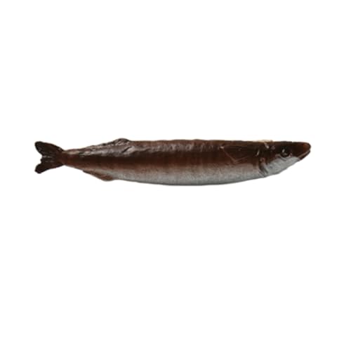 Haarspange in Fischform, niedlicher getrockneter Fisch, Schlüsselanhänger, Rucksack-Anhänger Haarspange in Fischform, niedlicher getrockneter Fisch, Schlüsselanhänger, Rucksack-Anhänger von KADSXIYA