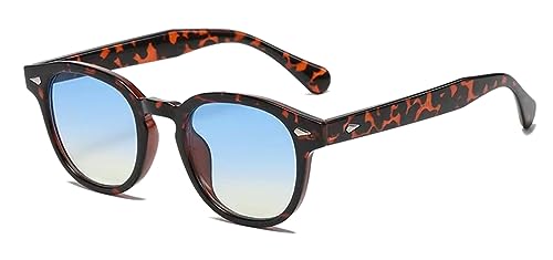 LHSDMOAT Unisex Vintage ovale Sonnenbrille, Retro Johnny Depp Runde Sonnenbrille Herren Damen, Mode UV400 Sonnenbrille für das Fahren Angeln Foto Wandern von LHSDMOAT