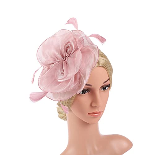 LICHENGTAI Damen Fascinator Hut Feder Mesh Kopfbedeckungs Hut Vintage Cocktail Kopfbedeckung mit Haarspange Braut Hochzeit Haarschmuck für Frauen und Mädchen von LICHENGTAI