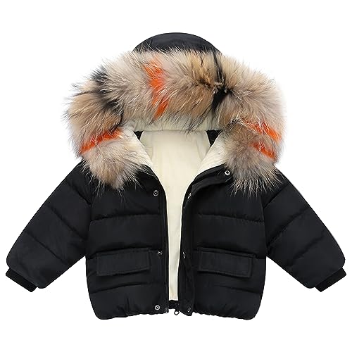 LSHDCER Winterjacke Jungen Daunenjacke Mädchen Kinder Wintermantel Leichte Steppjacke Kinderjacke Warme Winter Parka, Schwarz, 116 (Etikettengröße: 120) L2976U12 von LSHDCER