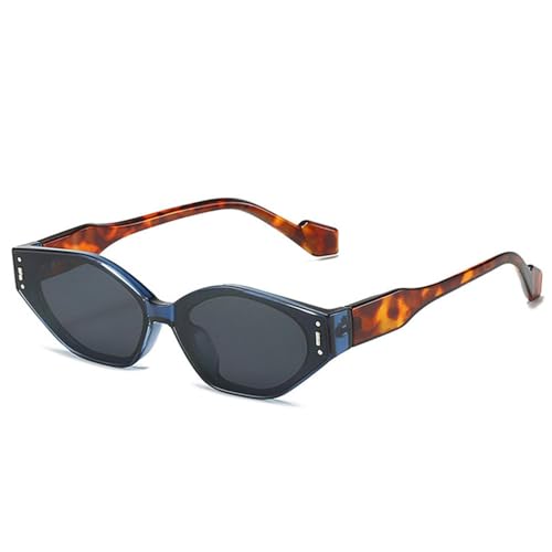 LVTFCO Retro Kleine Cat Eye Polygon Sonnenbrille Damenmode Zweifarbige Brille Herren Nieten Sonnenbrillen Shades UV400,Blau Leopard Grau,Einheitsgröße von LVTFCO