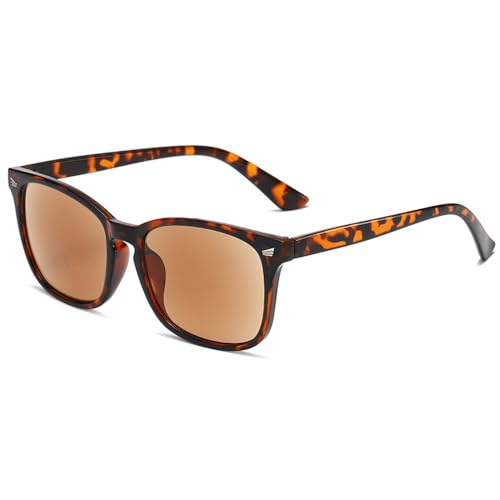 Lairesen Anti-Blue Ray Lesen Sonnenbrille für Männer Frauen Vintage volle Linse Leser Outdoor UV400 Brille (Braun, 1, x) von Lairesen