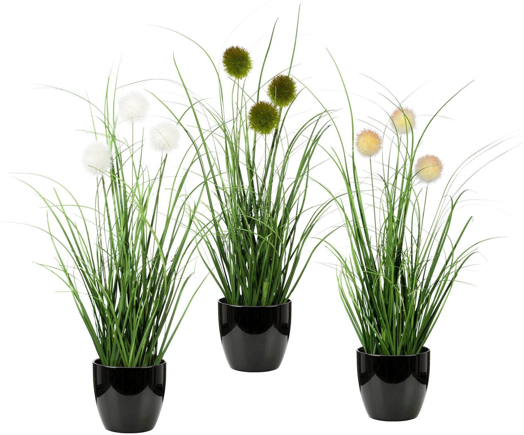 Leonique Kunstgras "Grasbusch mit Kletten", Kunstpflanze, Gras, im Topf, 3er-Set, Bestseller Leonique Kunstgras "Grasbusch mit Kletten", Kunstpflanze, Gras, im Topf, 3er-Set, Bestseller von Leonique