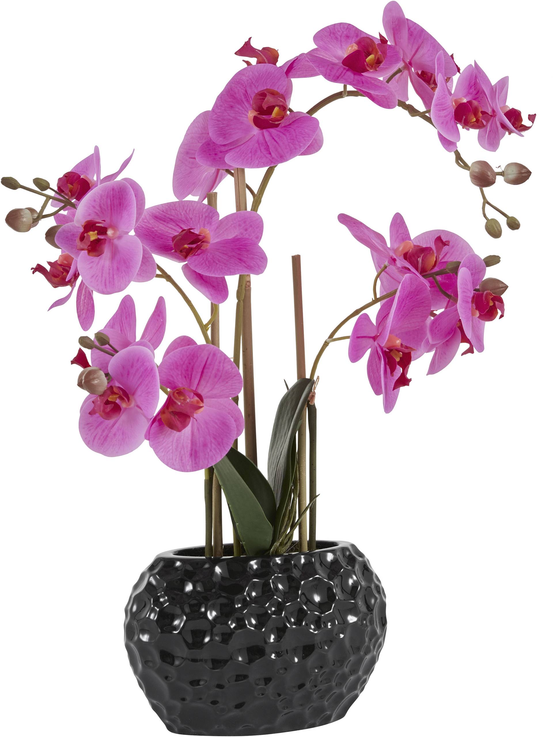 Leonique Kunstpflanze "Orchidee", Kunstorchidee, im Topf von Leonique