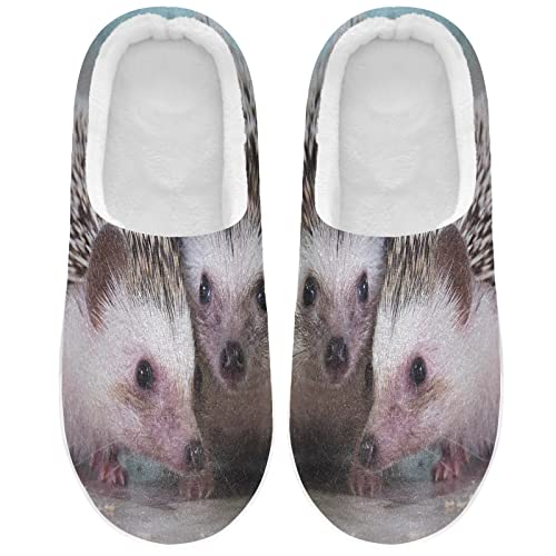 Linomo Süß Tier Igel Hausschuhe für Unisex Damen Männer Hausschuhe Wärme Drinnen Hausschuhe Schlafzimmer Schuh von Linomo