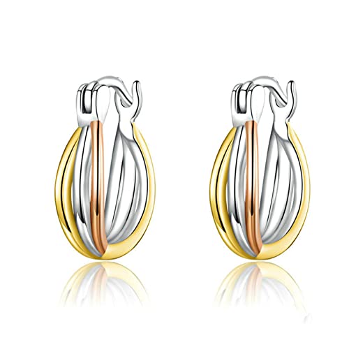S925 Sterling Silber Ohrringe für Frauen Zwei Farben Creolen Ohrstecker Temperament Weißgold plattiert Muttertag für Mama, Messing, Pirit von MASKIS